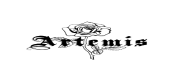 Artemis Accessories Promo Code