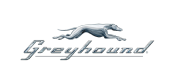 Greyhound Promo Code