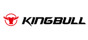 Kingbull Electric Bikes Promo Code